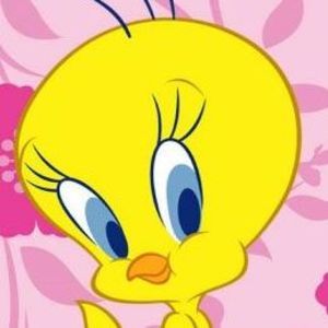 Meet your Posher, Diana